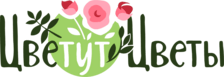 ЦвеТут Цветы — магазин цветов в Аксае