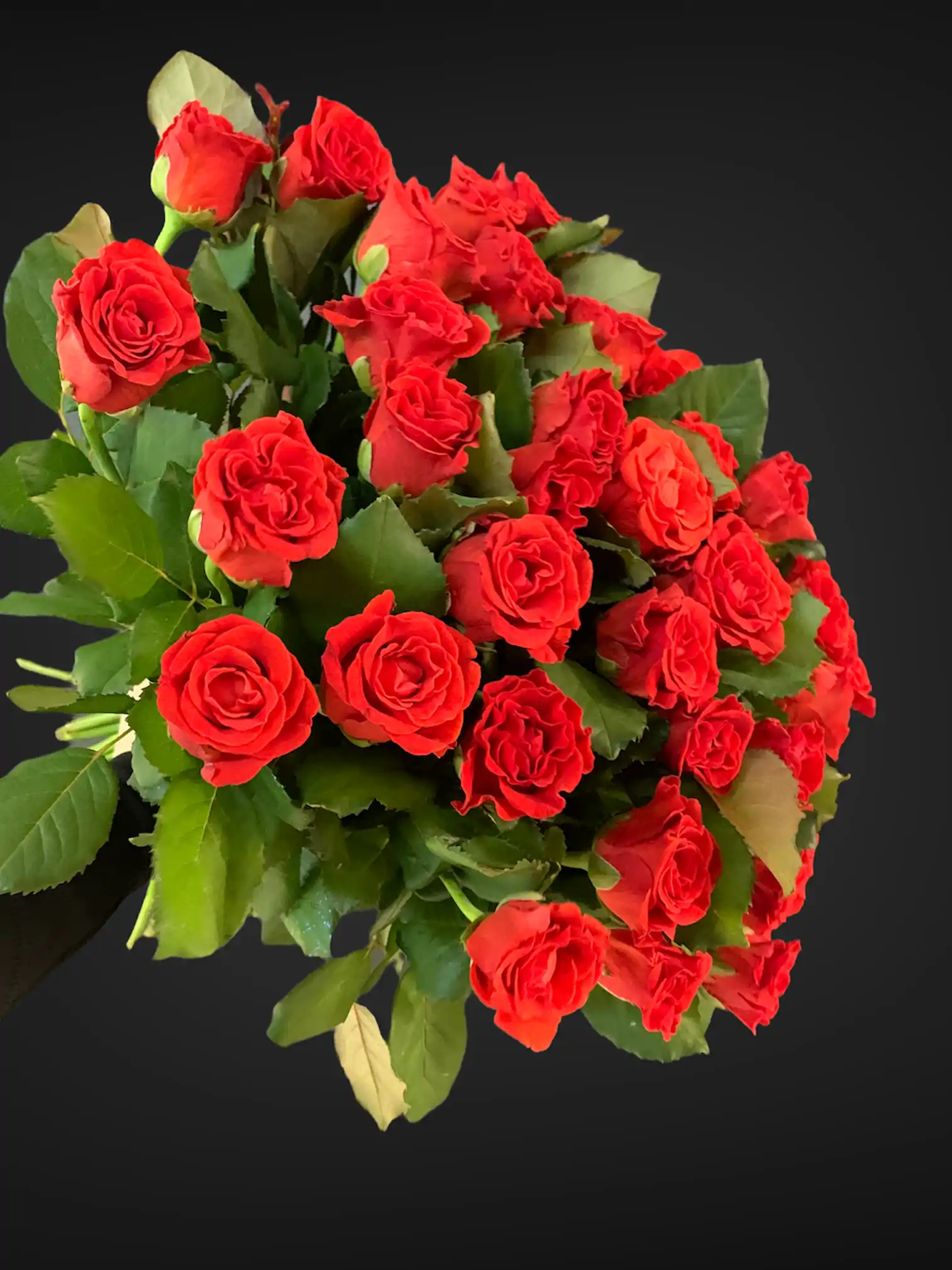 Розы — купить в Аксае