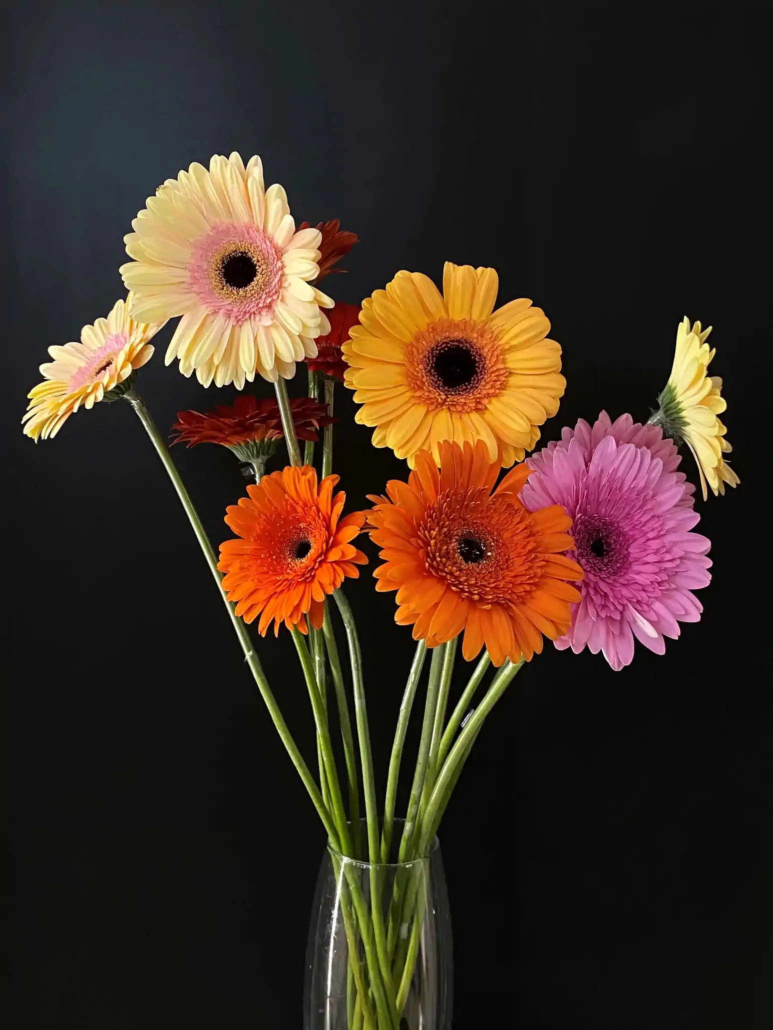 Цветы — купить в Аксае