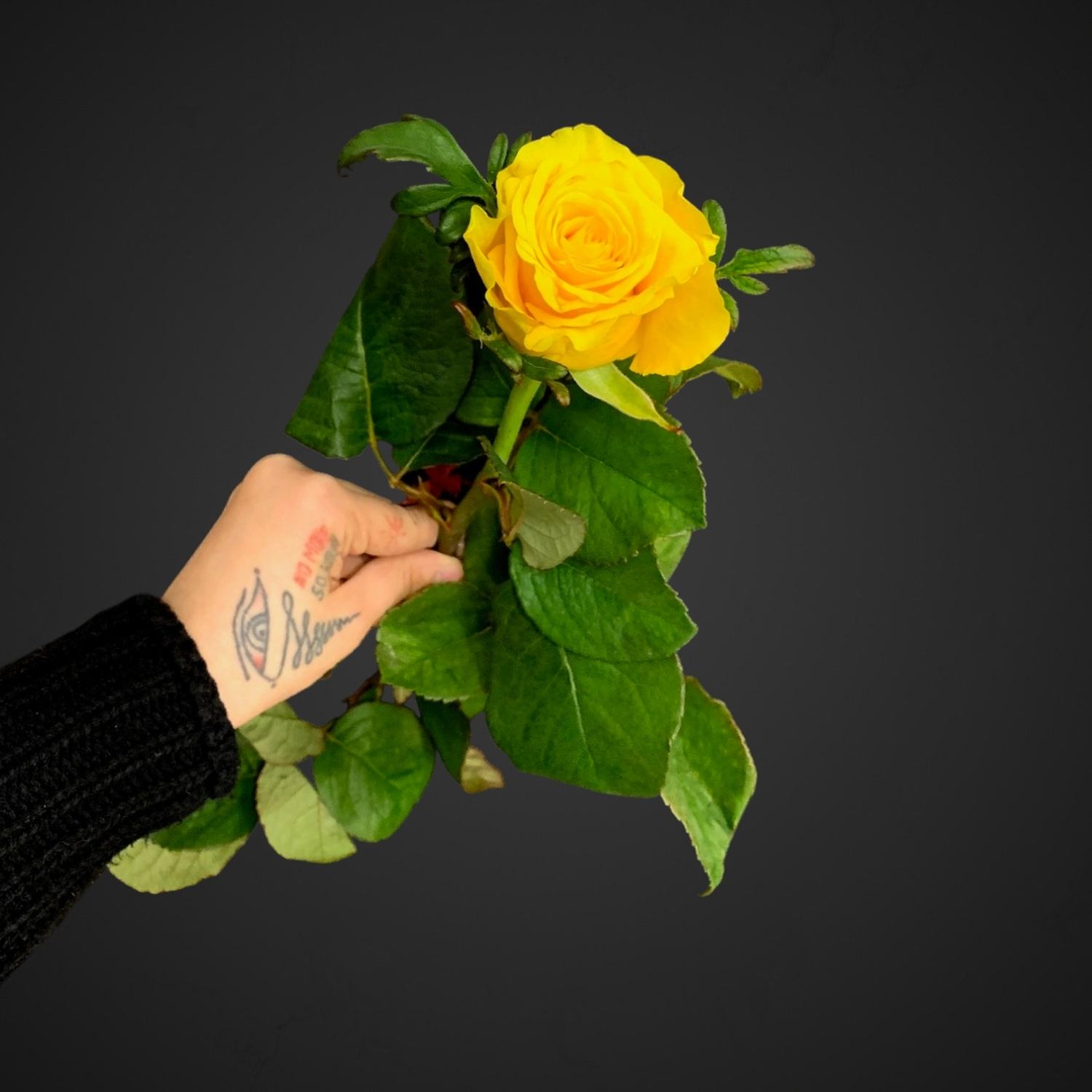 Жёлтая роза ОлРайт, доставка, Аксай, купить