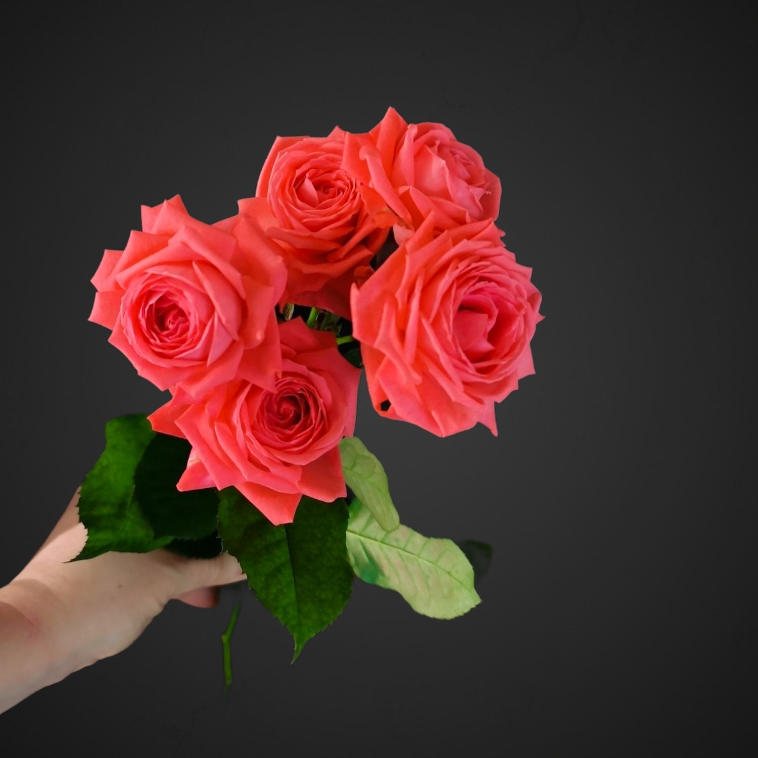 Роза Спрей Барбадос лососевого цвета для покупки с доставкой в Аксае