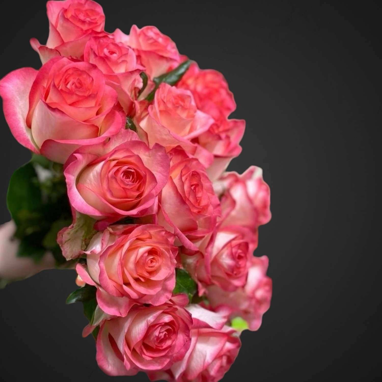 Букет Джумилия — изысканный монобукет для вас. Доставка по Аксаю. Купите красивый букет цветов прямо сейчас!