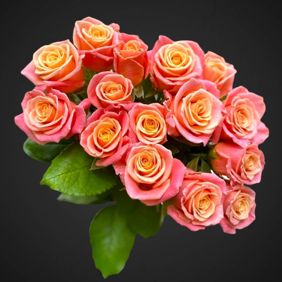 Моно букет Мисс Пигги для покупки с доставкой в Аксае