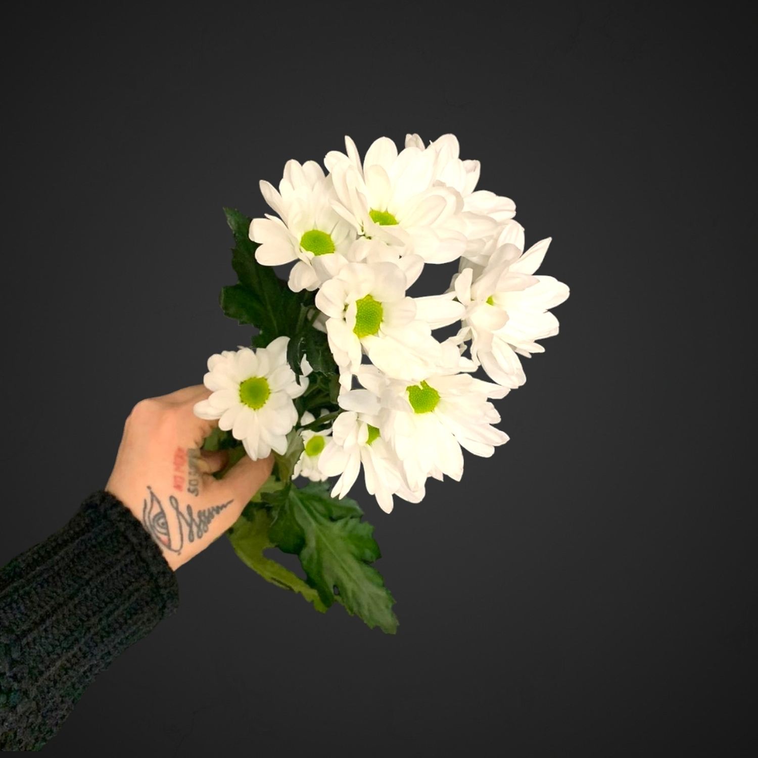 Кустовая хризантема ромашка для покупки с доставкой в Аксае