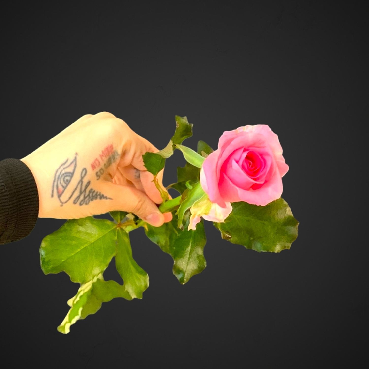 Роза Ревиваль (розовая) для покупки с доставкой в Аксае