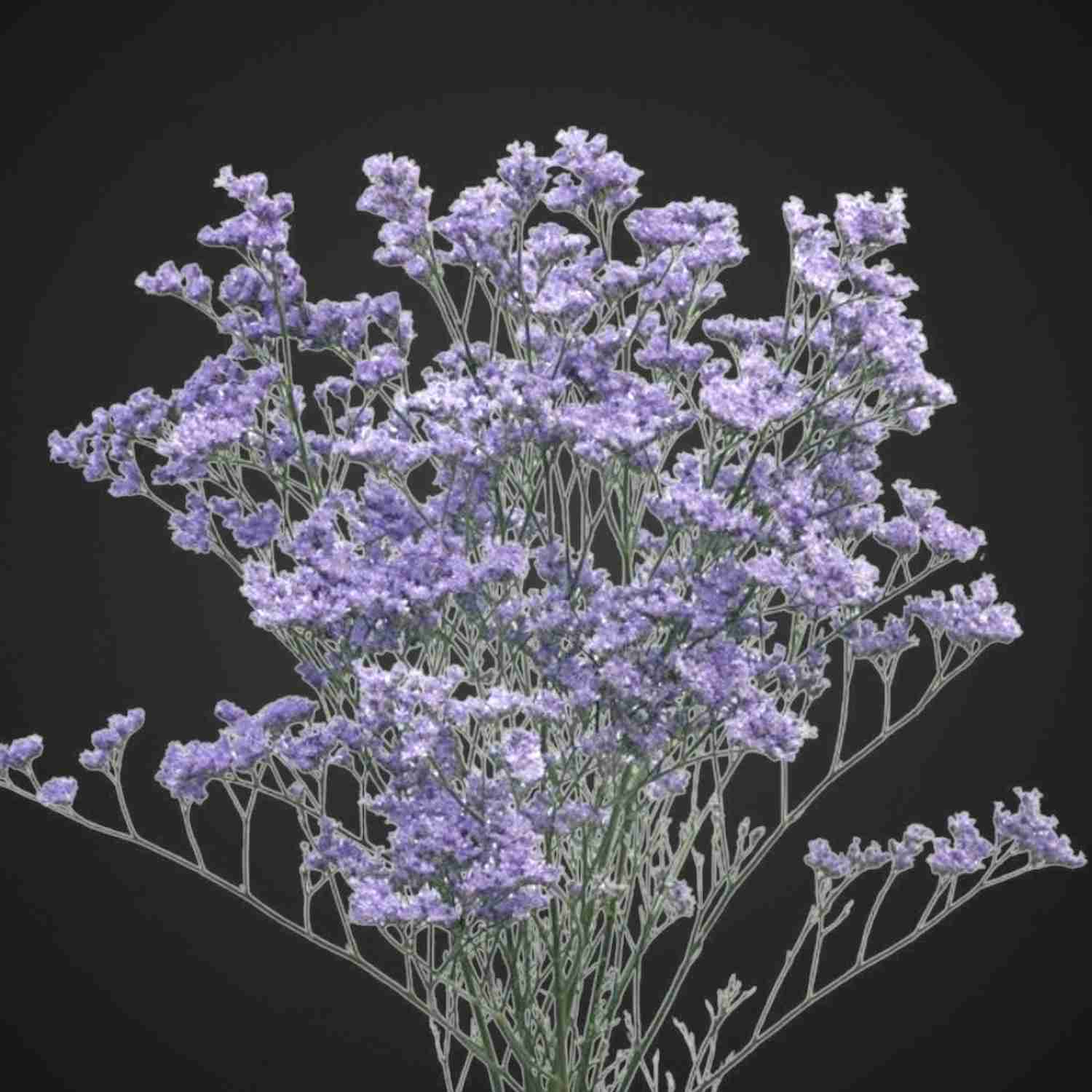 Лимониум для покупки в цветочном магазине с доставкой в Аксай