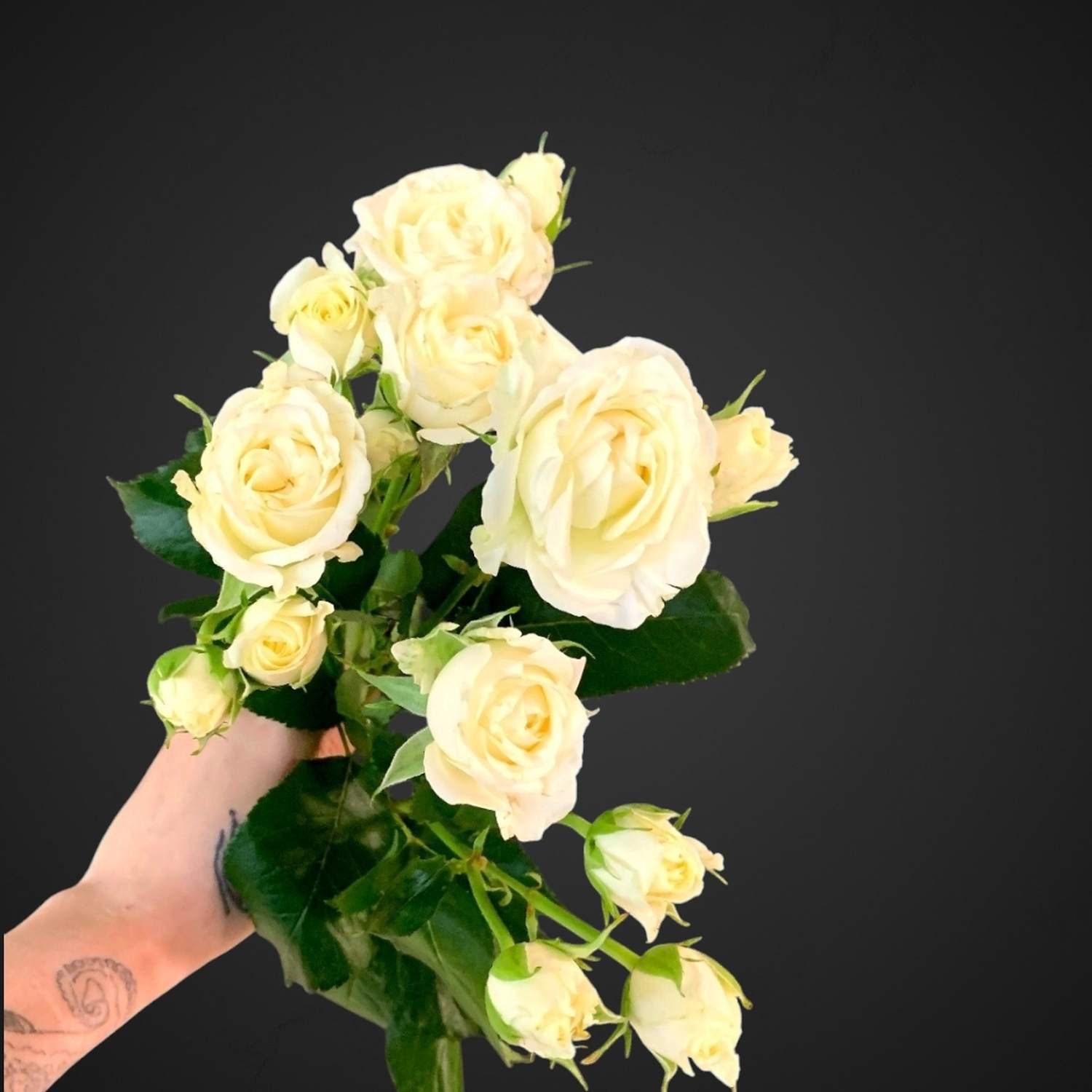 Белая роза спрей Беларусь, доставка в Аксай, покупайте цветы